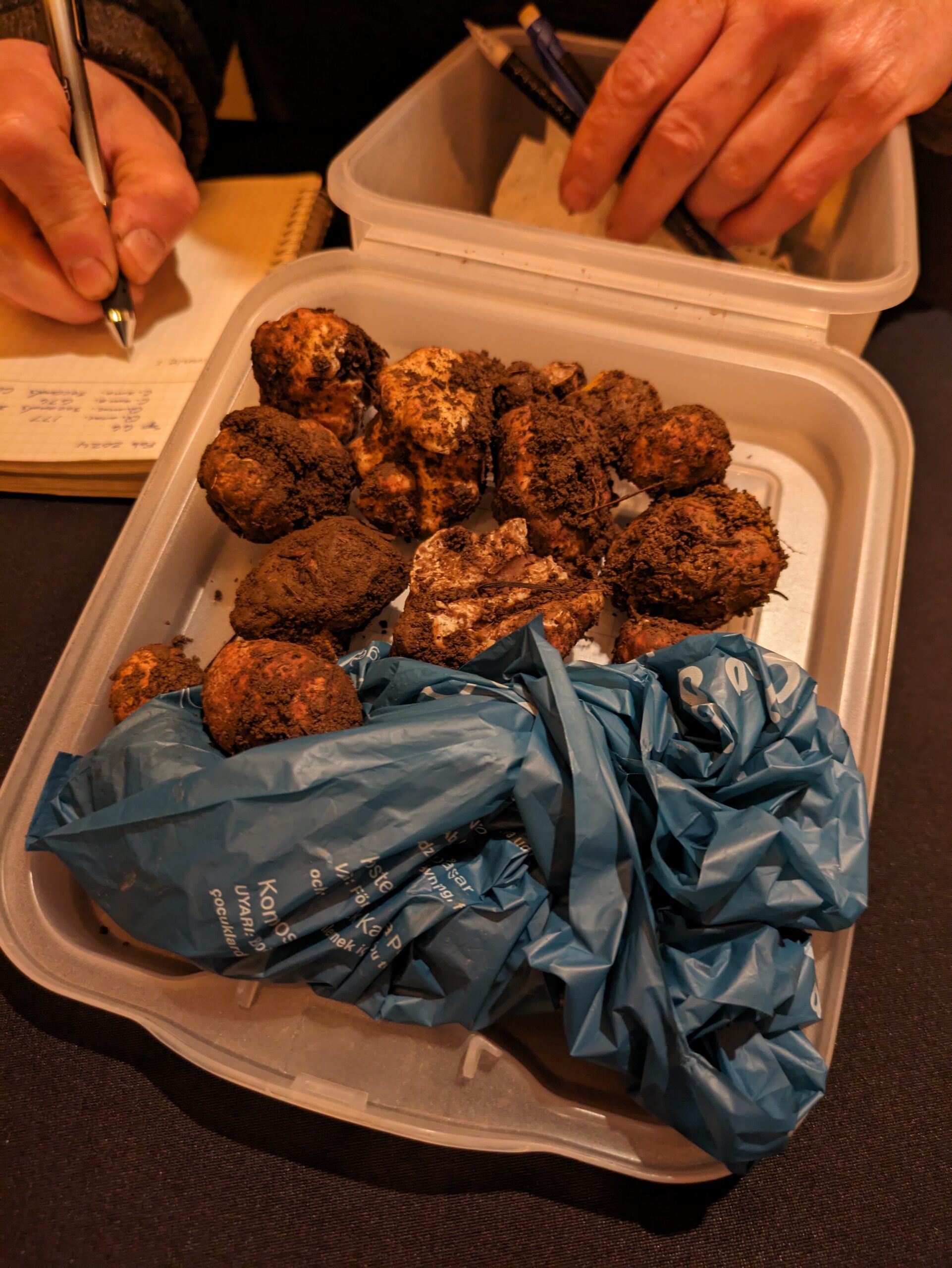 A pile of truffles during the count.